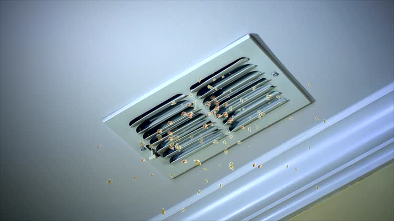 Best Air Duct Cleaning Company Near Me  in Crest, CA
