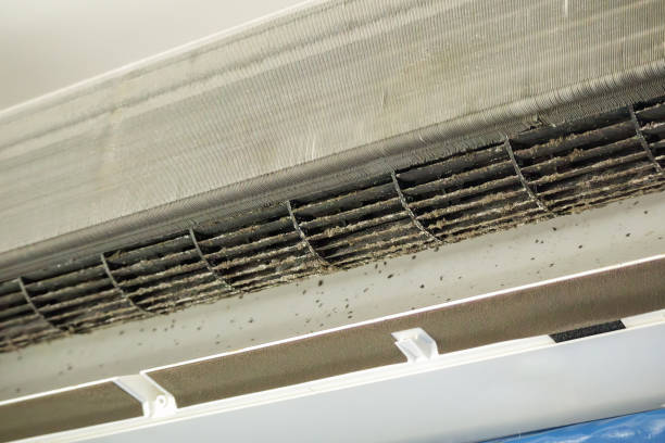 Best Affordable Air Duct Cleaning  in Crest, CA